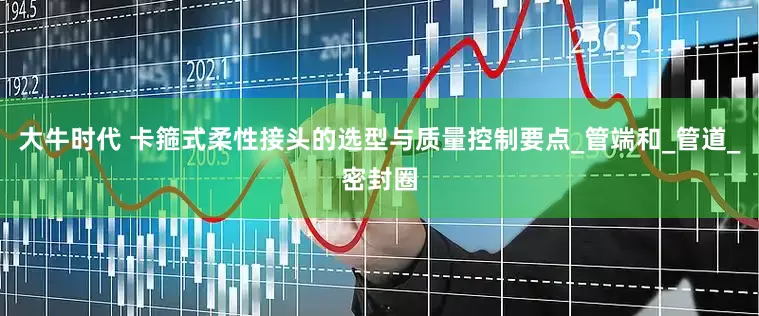 大牛时代 卡箍式柔性接头的选型与质量控制要点_管端和_管道_密封圈