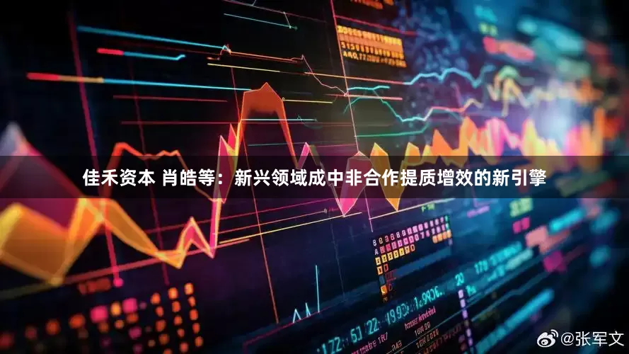 佳禾资本 肖皓等：新兴领域成中非合作提质增效的新引擎