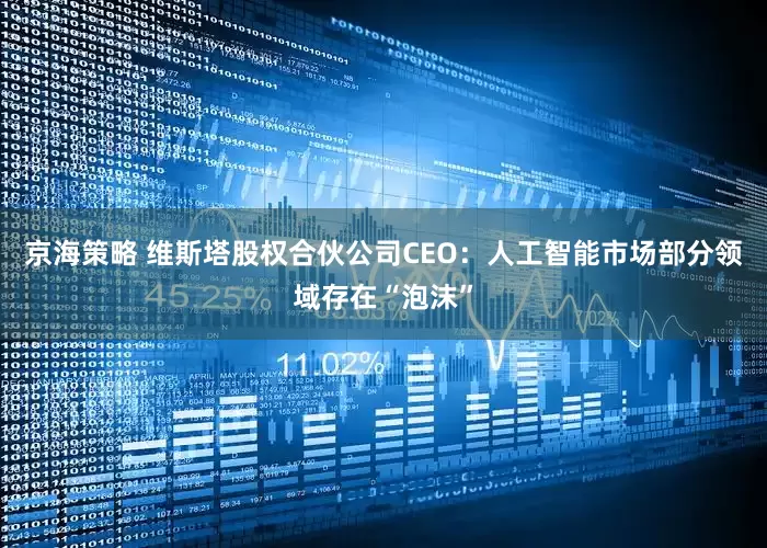 京海策略 维斯塔股权合伙公司CEO：人工智能市场部分领域存在“泡沫”